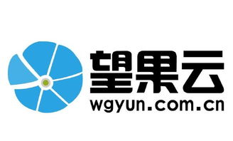 售前咨詢待遇解析 聚焦中小企業(yè)咨詢服務(wù)與看準(zhǔn)網(wǎng)平臺